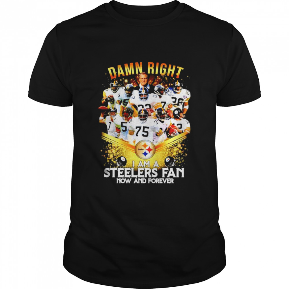 2020 damn right I am a Steelers fan now and forever shirt